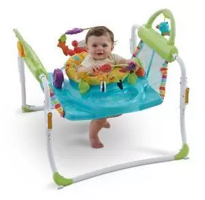 The Fisher-Price First Steps Jumperoo