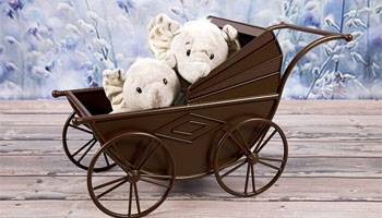best push car for babies